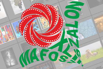 Siker a XLII. MAFOSZ Szalonon