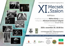 XI. Mecsek Szalon