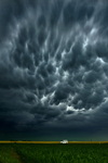 Vitéz Tünde - Mammatus